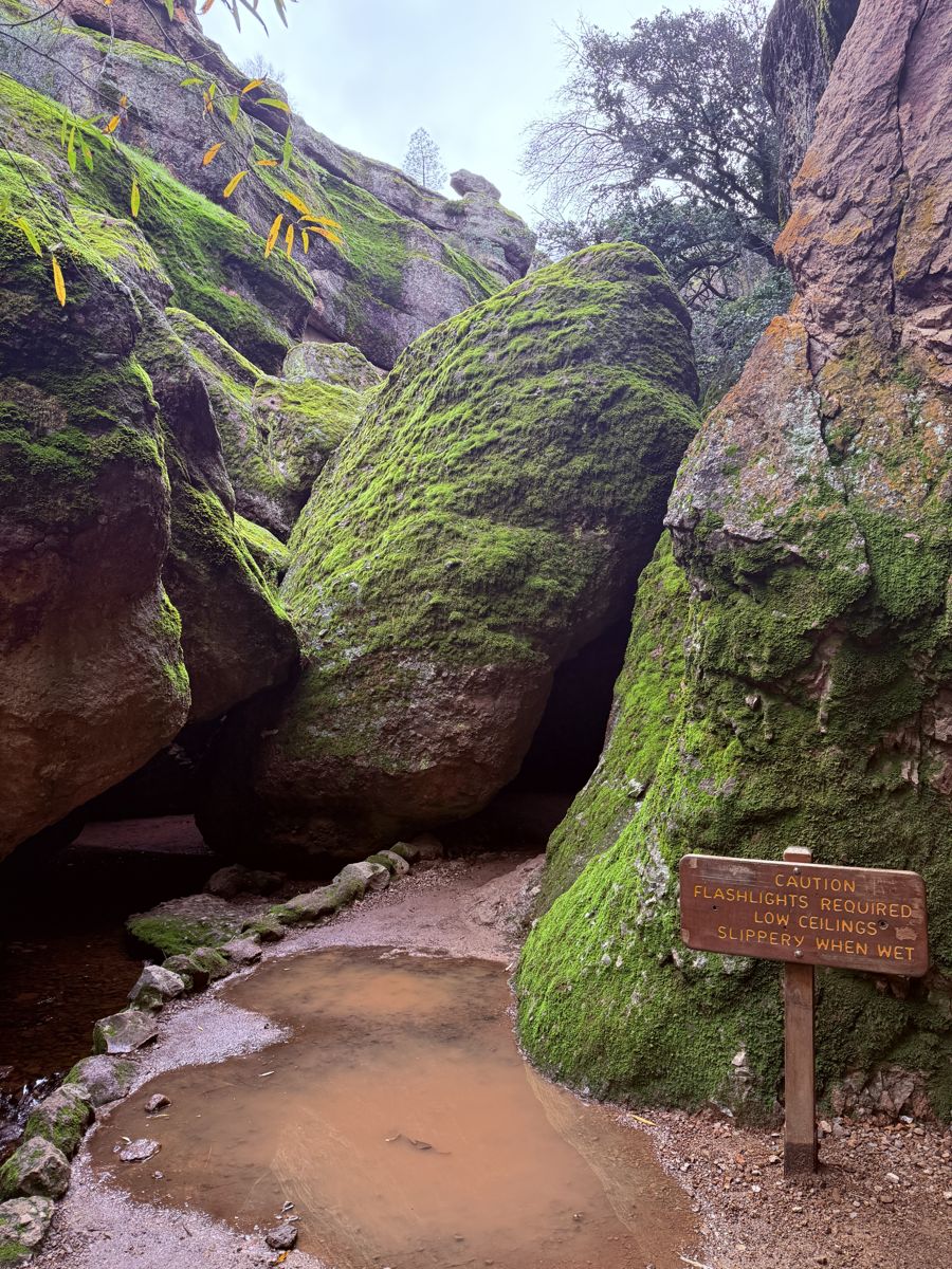 A trail through mossy boulders and a cave with a caution sign in Pinnacles National Park